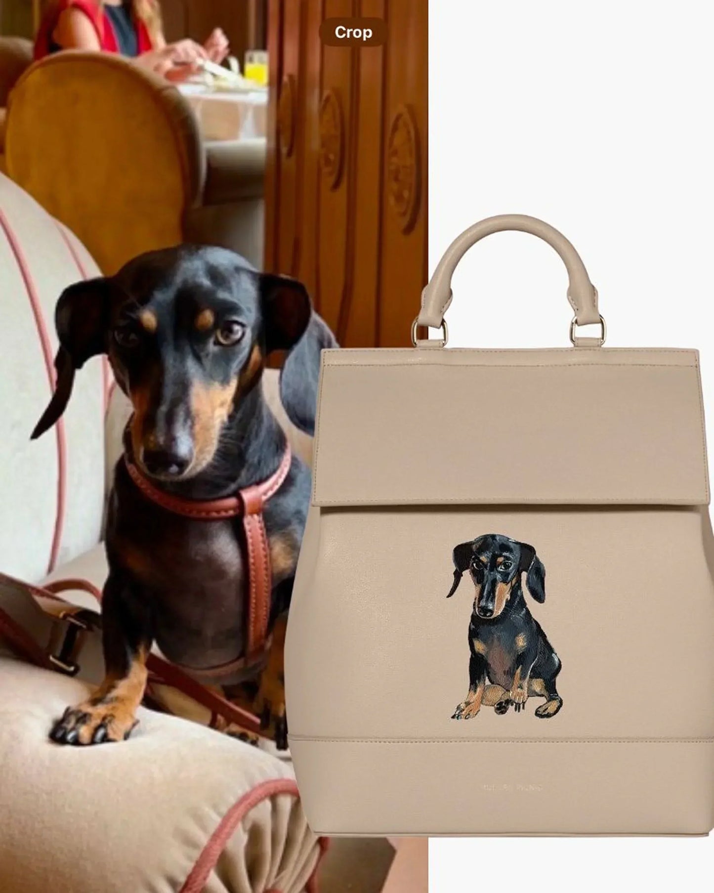 Beige insulated lunch tote with dachshund dog illustration, placed beside a real dachshund.