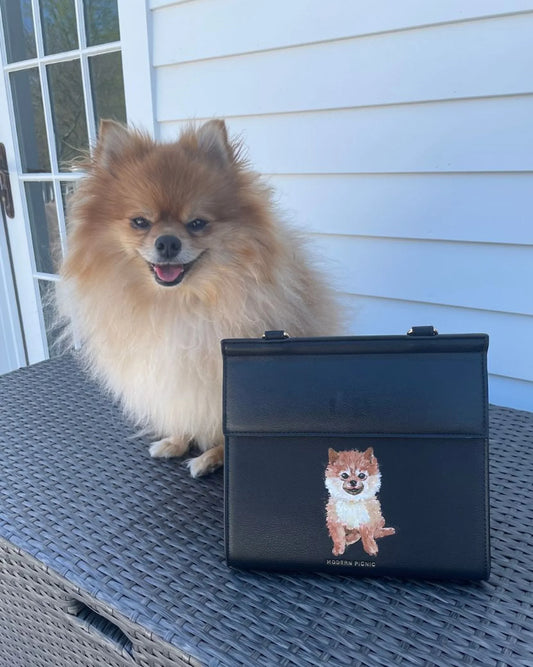 Fluffy Pomeranian dog beside black vegan leather lunch bag with dog illustration outdoors