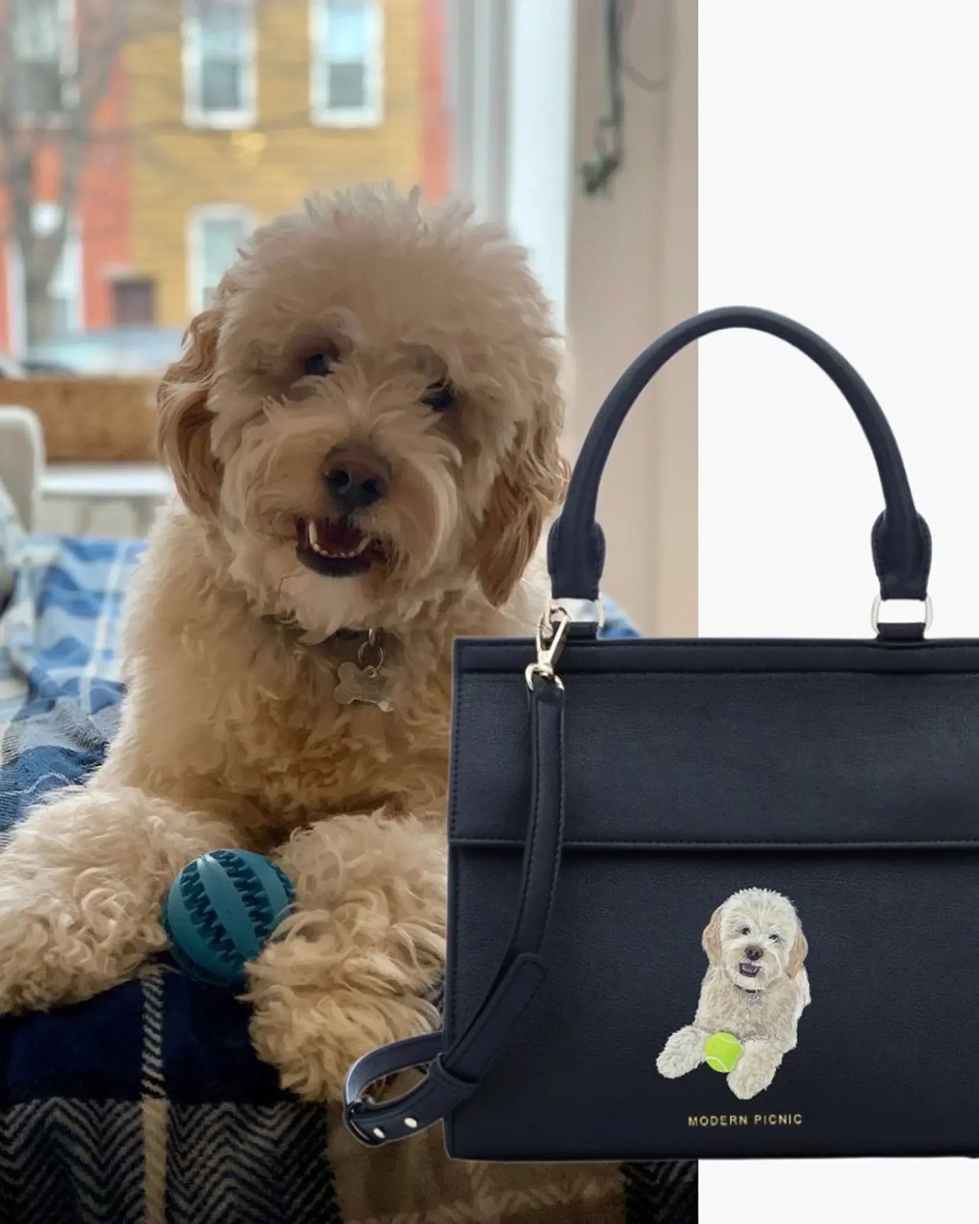 Fluffy dog with blue ball beside a black insulated tote bag featuring a dog illustration