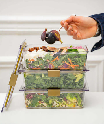 THE FOOD CONTAINER
