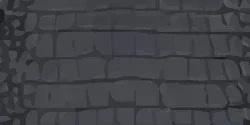 Black Croc