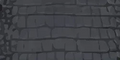 THE LARGE LUNCHER - BLACK CROC