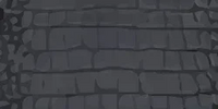 THE LARGE LUNCHER - BLACK CROC