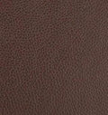 The Nylon - Brown