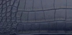 Navy Croc
